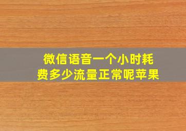 微信语音一个小时耗费多少流量正常呢苹果