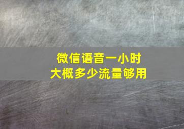 微信语音一小时大概多少流量够用