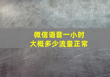 微信语音一小时大概多少流量正常