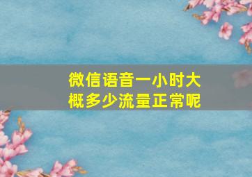 微信语音一小时大概多少流量正常呢