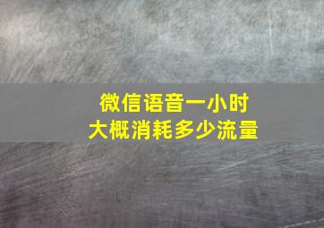 微信语音一小时大概消耗多少流量