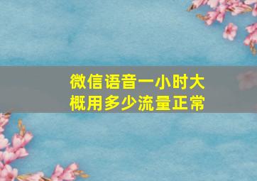 微信语音一小时大概用多少流量正常