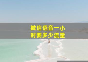 微信语音一小时要多少流量