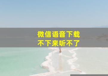 微信语音下载不下来听不了