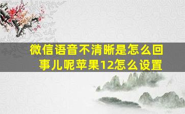 微信语音不清晰是怎么回事儿呢苹果12怎么设置