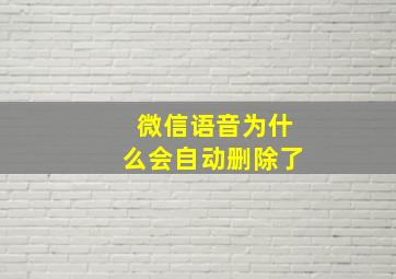 微信语音为什么会自动删除了