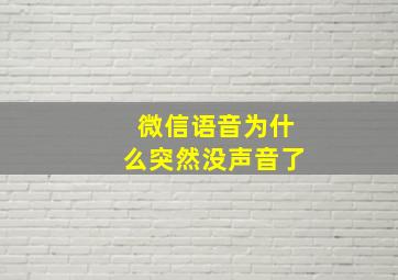 微信语音为什么突然没声音了