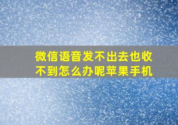 微信语音发不出去也收不到怎么办呢苹果手机