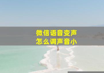 微信语音变声怎么调声音小