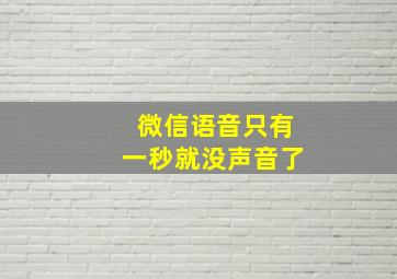 微信语音只有一秒就没声音了