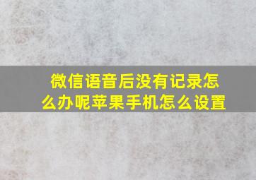 微信语音后没有记录怎么办呢苹果手机怎么设置