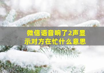 微信语音响了2声显示对方在忙什么意思