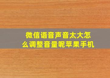 微信语音声音太大怎么调整音量呢苹果手机