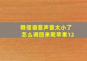 微信语音声音太小了怎么调回来呢苹果12