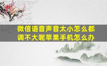 微信语音声音太小怎么都调不大呢苹果手机怎么办