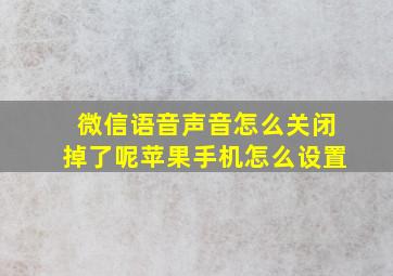 微信语音声音怎么关闭掉了呢苹果手机怎么设置