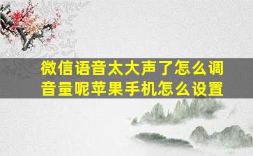 微信语音太大声了怎么调音量呢苹果手机怎么设置