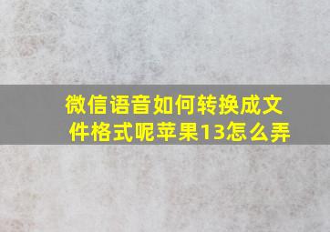 微信语音如何转换成文件格式呢苹果13怎么弄