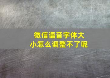 微信语音字体大小怎么调整不了呢