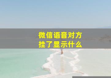 微信语音对方挂了显示什么