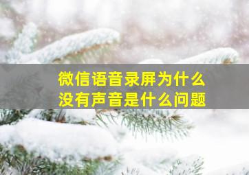 微信语音录屏为什么没有声音是什么问题