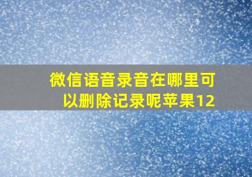 微信语音录音在哪里可以删除记录呢苹果12