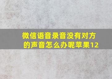 微信语音录音没有对方的声音怎么办呢苹果12