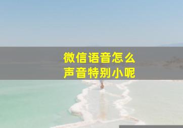 微信语音怎么声音特别小呢