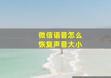 微信语音怎么恢复声音大小