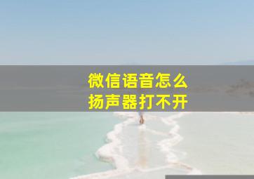 微信语音怎么扬声器打不开