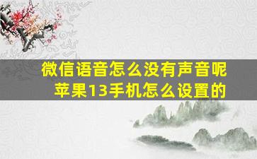 微信语音怎么没有声音呢苹果13手机怎么设置的