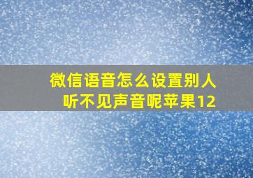 微信语音怎么设置别人听不见声音呢苹果12