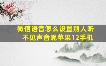 微信语音怎么设置别人听不见声音呢苹果12手机