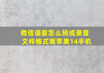 微信语音怎么转成录音文件格式呢苹果14手机