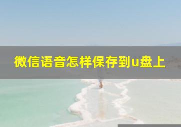 微信语音怎样保存到u盘上