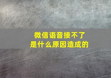 微信语音接不了是什么原因造成的