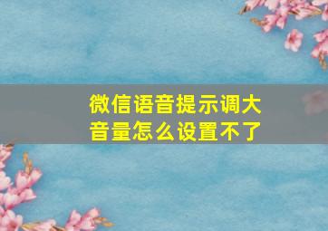 微信语音提示调大音量怎么设置不了