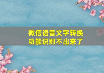 微信语音文字转换功能识别不出来了