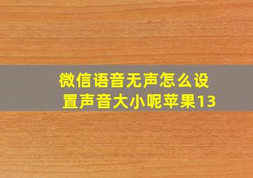 微信语音无声怎么设置声音大小呢苹果13