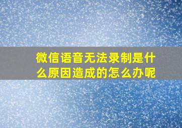 微信语音无法录制是什么原因造成的怎么办呢