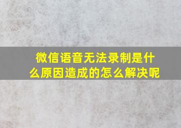 微信语音无法录制是什么原因造成的怎么解决呢