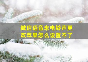 微信语音来电铃声更改苹果怎么设置不了