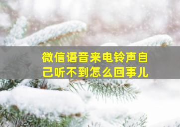 微信语音来电铃声自己听不到怎么回事儿