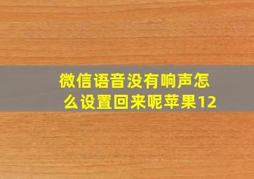 微信语音没有响声怎么设置回来呢苹果12