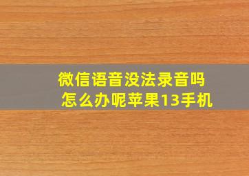 微信语音没法录音吗怎么办呢苹果13手机