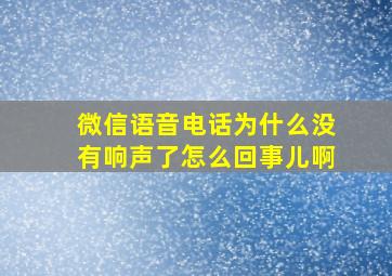 微信语音电话为什么没有响声了怎么回事儿啊