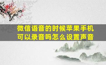 微信语音的时候苹果手机可以录音吗怎么设置声音