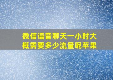 微信语音聊天一小时大概需要多少流量呢苹果