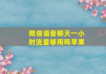 微信语音聊天一小时流量够用吗苹果