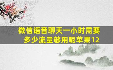 微信语音聊天一小时需要多少流量够用呢苹果12